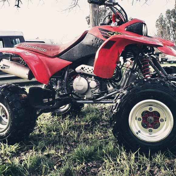 Meet your Posher, Blake - Picture 1 of 1